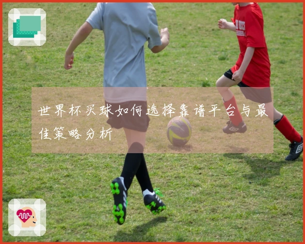 世界杯买球如何选择靠谱平台与最佳策略分析
