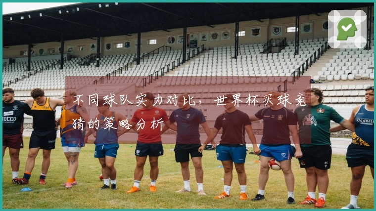 不同球队实力对比，世界杯买球竞猜的策略分析