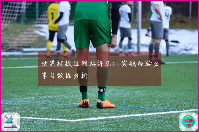 世界杯投注网站评测：实战经验分享与数据分析