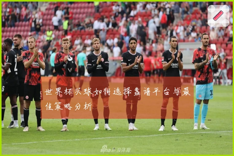 世界杯买球如何选择靠谱平台与最佳策略分析