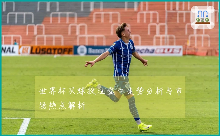 世界杯买球投注盘口走势分析与市场热点解析